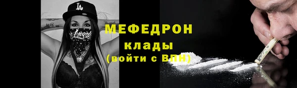 шишки Верея