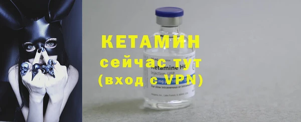 шишки Верея