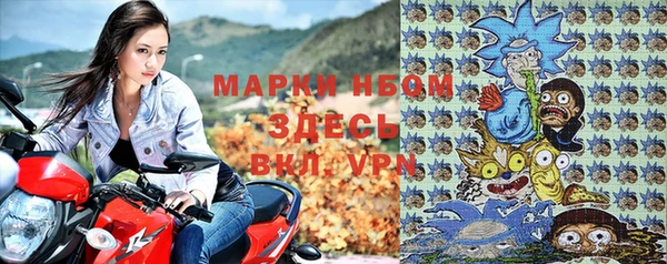 шишки Верея