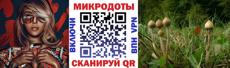 Купить закладки Алзамай Псилоцибиновые грибы мухоморы